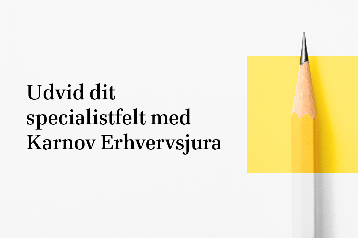 Erhvervsjura: Introduktion